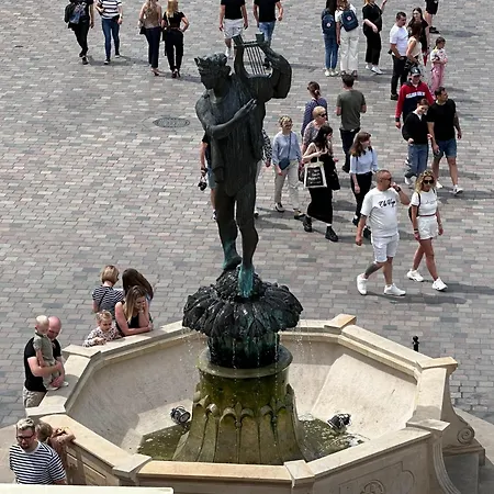Apolla 12 *