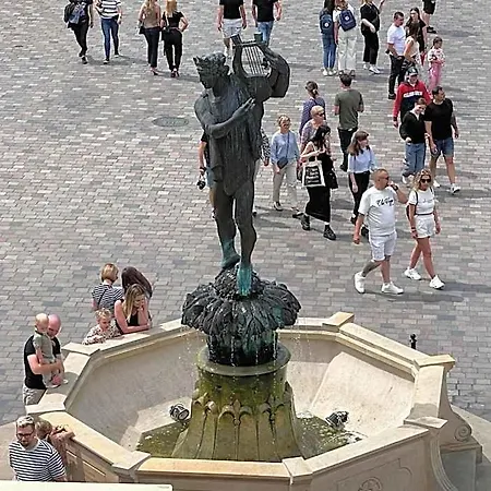 Apolla 12 Poznan
